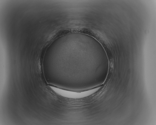 X0000111201252200907081235