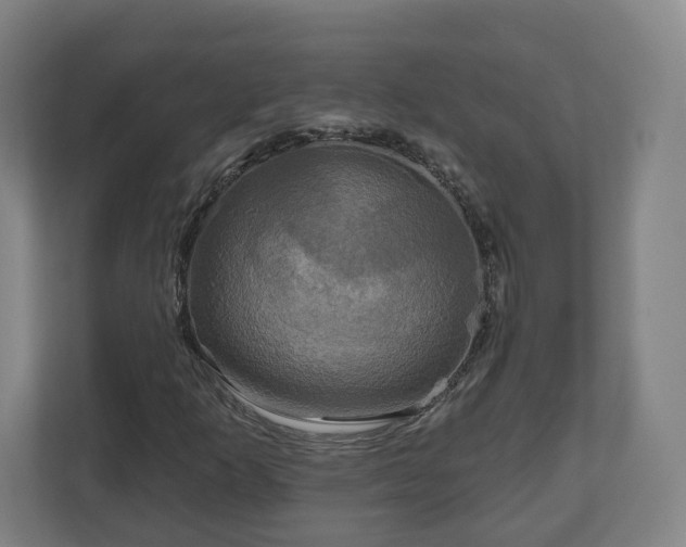 X0000111201253200907081235