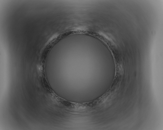 X0000111201254200907081235