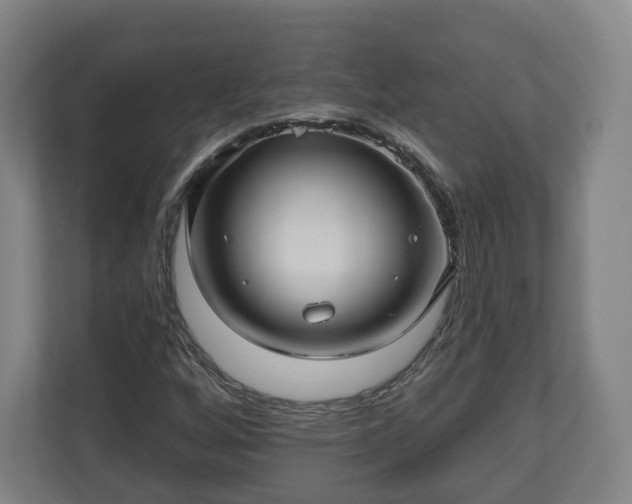 X0000111201256200907081235