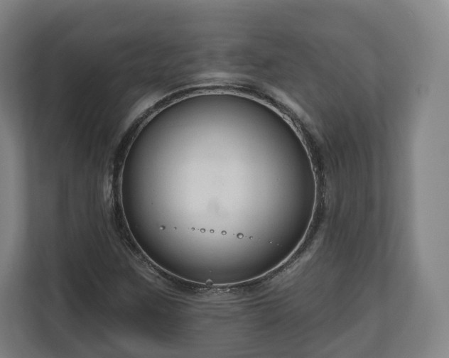 X0000111201259200907081234