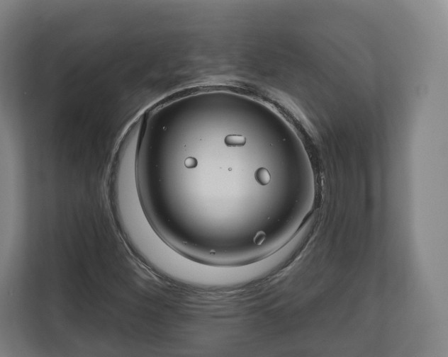 X0000111201260200907081234