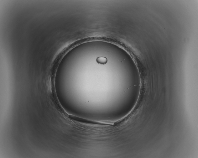 X0000111201262200907081234