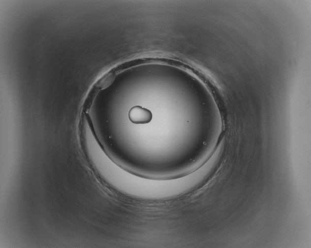 X0000111201264200907081234