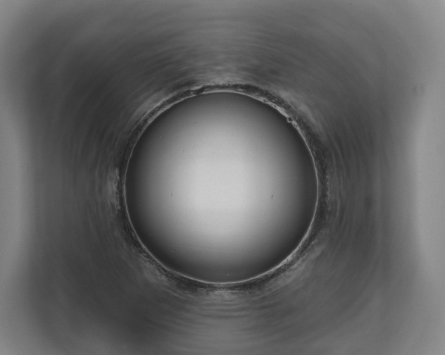 X0000111201265200907081234