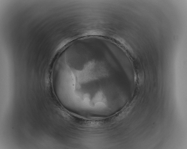 X0000111201266200907081234