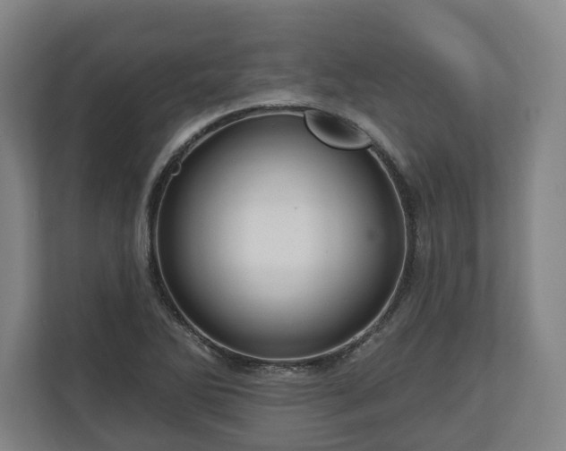 X0000111201270200907081234