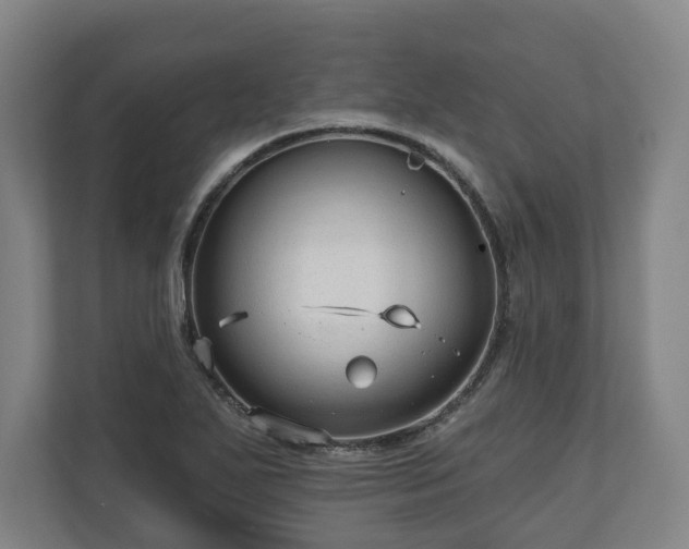 X0000111201271200907081234