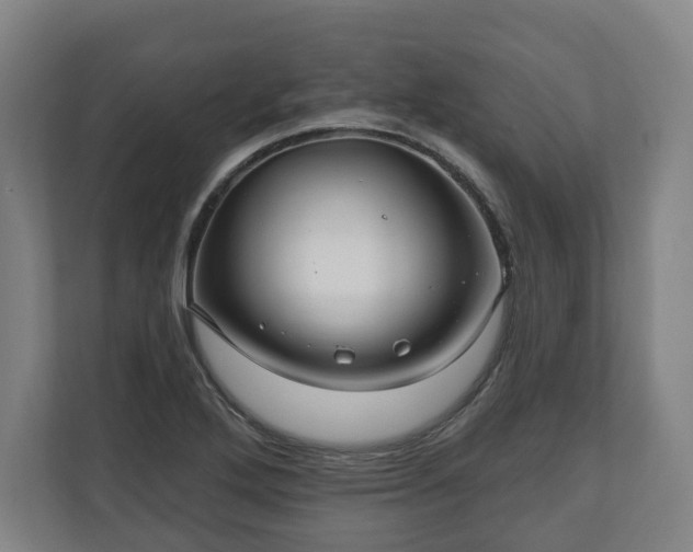 X0000111201272200907081234