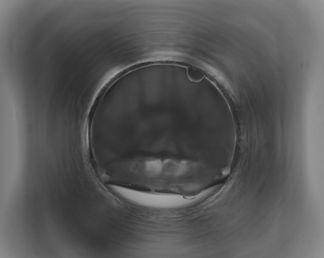 X0000111201275200907081234