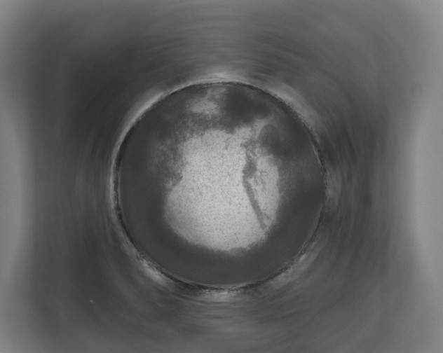 X0000111201278200907081234