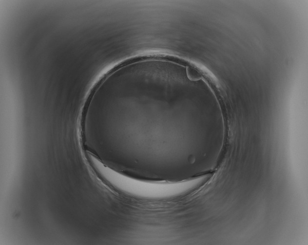 X0000111201279200907081234