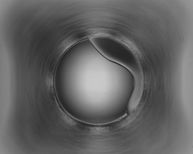 X0000111201281200907081234