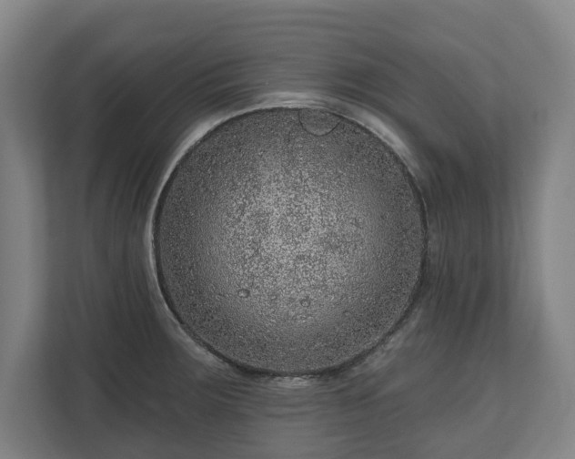 X0000111201283200907081234