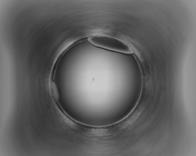 X0000111201285200907081234