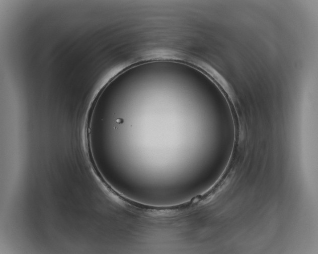 X0000111201293200907081234