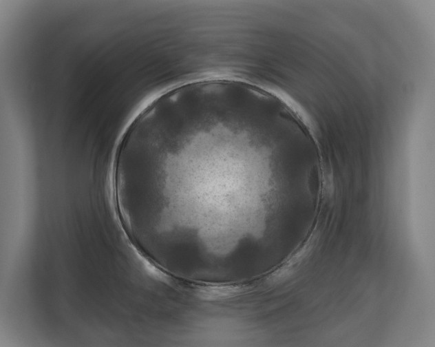 X0000111201294200907081234