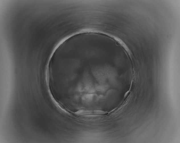 X0000111201295200907081234