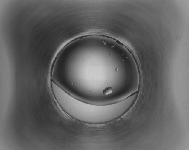 X0000111201296200907081234