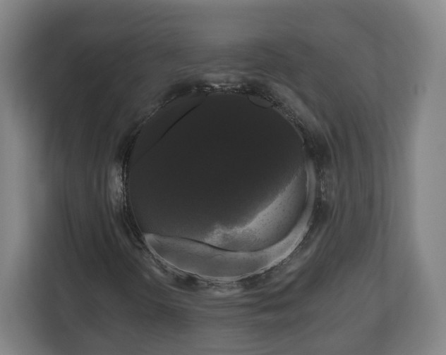 X0000111201298200907081233