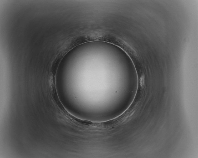 X0000111201299200907081233