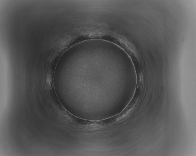 X0000111201300200907081233