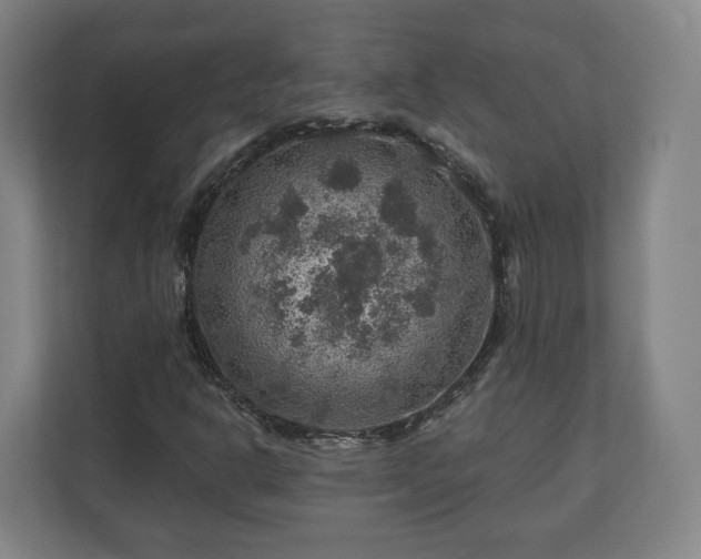 X0000111201302200907081233