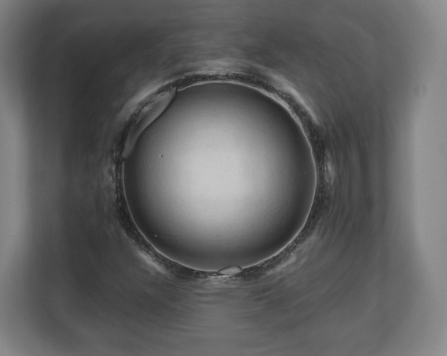 X0000111201304200907081233