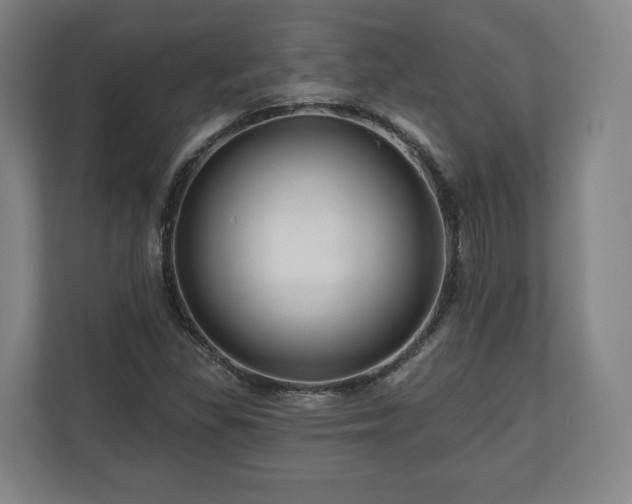 X0000111201309200907081234