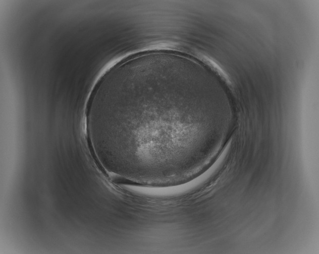 X0000111201324200907081234