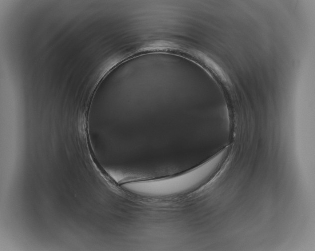 X0000111201329200907081234