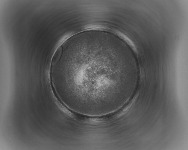 X0000111201330200907081234