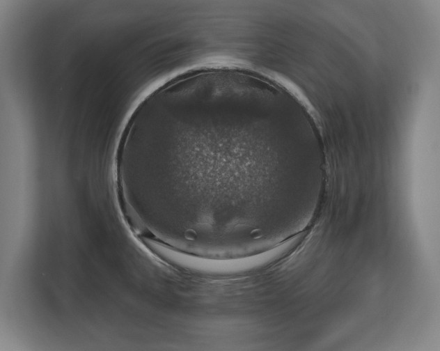 X0000111201335200907081234