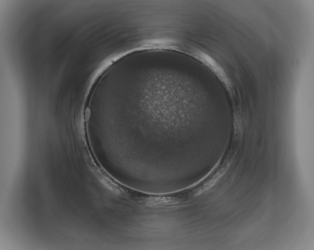 X0000111201336200907081234