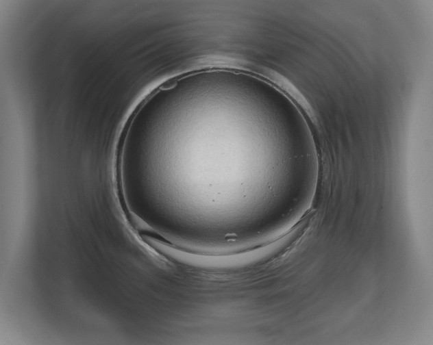 X0000111201339200907081234