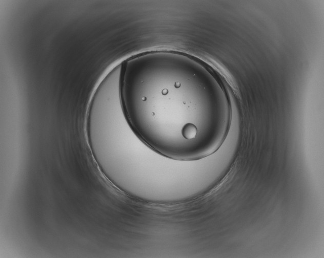 X0000111201340200907081234