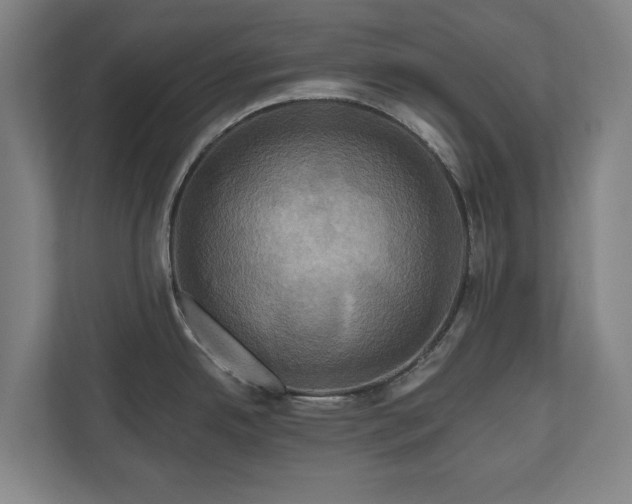 X0000111201342200907081234