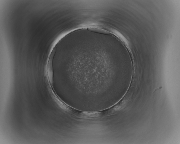 X0000111201344200907081234