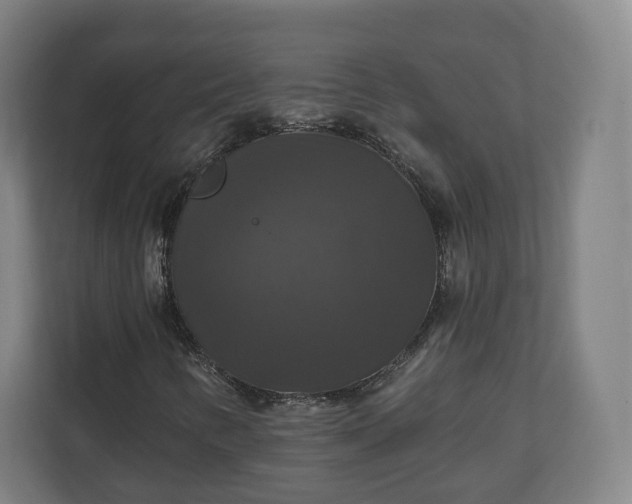 X0000111201346200907081233