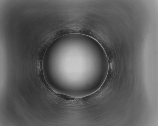 X0000111201347200907081233