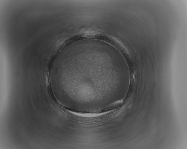 X0000111201348200907081233