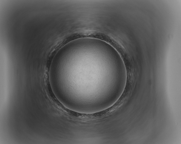 X0000111201349200907081233