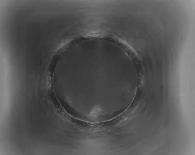 X0000111201350200907081233