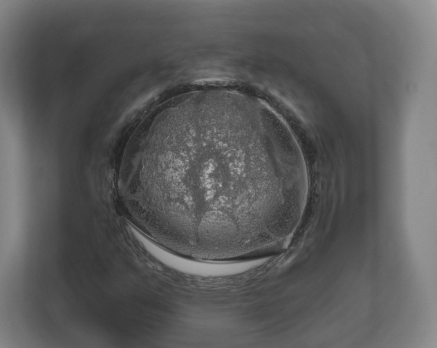 X0000111201351200907081233