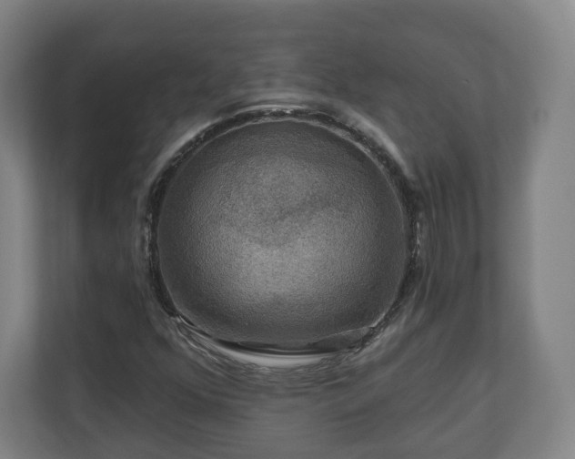 X0000111201352200907081233