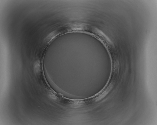 X0000111201353200907081233