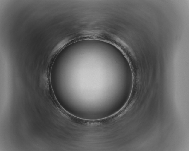 X0000111201354200907081233