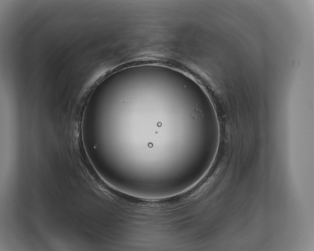 X0000111201355200907081233