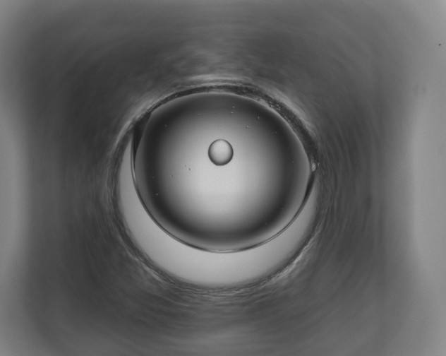 X0000111201357200907081233