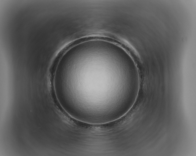 X0000111201360200907081233